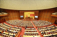 Vietnam hailed as respected member of int’l community  ﻿