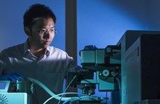 Vietnamese scientist in Australia honoured with science-technology prize