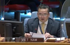 Vietnam supports enhanced cooperation between UNSC, AUPSC