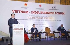 NA Chairman addresses Vietnam-India Business Forum  
