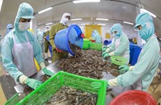 Vietnam ranks fifth among aquatic product exporters of Japan