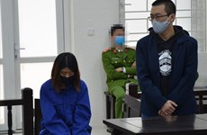 Two Chinese nationals imprisoned for organising illegal stay for foreigners in Vietnam 