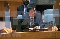 Vietnam emphasises international efforts for cyber conflict prevention: ambassador