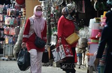 Indonesia’s GDP growth predicted to exceed 5 pct in Q4
