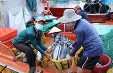 Deputy Minister requests efforts to remove IUU fishing warning