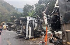 Traffic accidents claim nearly 5,800 lives in 2021