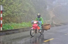 Cold spell hits northern, central Vietnam