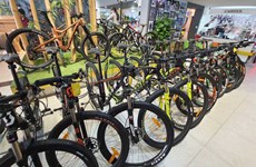 Cambodia earns over 500 mln USD from bicycle export