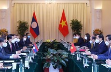 Vietnamese, Lao foreign ministers co-chair 8th political consultation  