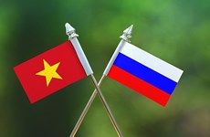 Diplomat: Russia wants to boost ties with Vietnamese localities