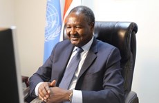 Niger Ambassador: Vietnam makes great contributions to UNSC 