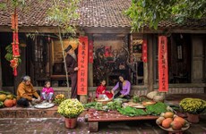 Contest launched to promote Vietnam’s traditional Lunar New Year