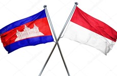 Cambodian, Indonesian leaders discuss ASEAN cooperation, Myanmar situation