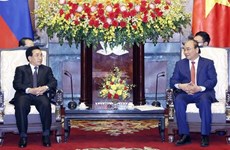 Vietnam, Laos eye breakthrough measures to enhance cooperation's effectiveness