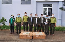 Cuc Phuong National Park rescues large number of wild animals