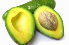 Vietnam’s frozen avocado enters Australian market