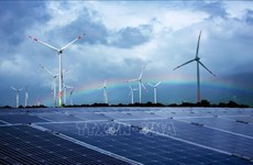 Auction mechanism needed for sustainable development of renewable energy market: Dialogue