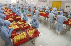 Vietnam looking to expand export to Eurasian market