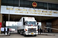 China reopens one more border gate with Vietnam for fresh fruit imports