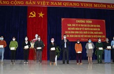 Party official pays pre-Tet visit to Quang Ngai  