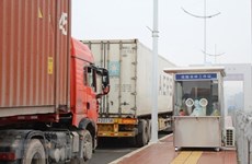 Northern provinces halt fruit truck reception at some border gates