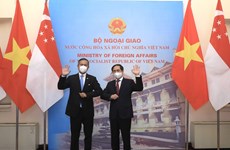 Vietnam - a magnet for Singaporean investors: Ambassador