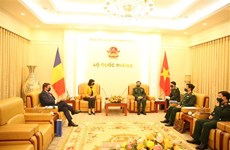 Deputy Defence Minister receives Romanian Ambassador