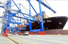 Seaports handle over 60 million tonnes of goods in January