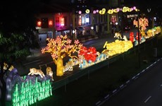 Singapore: Streets decorated brilliantly to welcome Lunar New Year 
