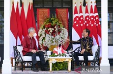 Singapore, Indonesia boost cooperation in post-pandemic recovery