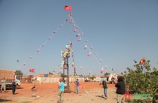 Vietnamese peacekeepers in South Sudan erect New Year tree