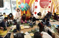  Overseas Vietnamese across nations celebrate Lunar New Year