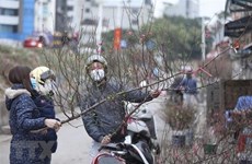  Intensified cold wave hits north, north central regions