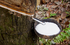 Malaysia's rubber exports top 15 billion USD in 2021