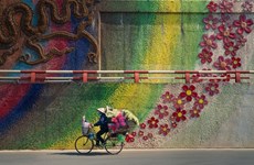 Photo capturing Hanoi street vendor wins int’l award