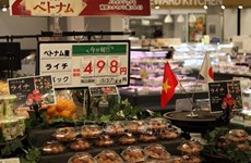 Plenty of room for Vietnam’s agricultural, aquatic, foodstuff products in Japanese market