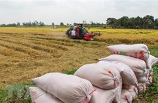 Measures proposed to address food security vulnerabilities exposed by COVID-19 in SE Asia