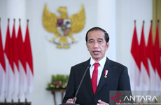 Indonesia to spotlight importance of blue economy, blue carbon during G20 presidency