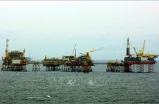 PetroVietnam’s crude oil output surpasses target by 24.2 percent in January