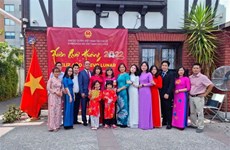 Vietnamese community in Chile celebrates Tet festival