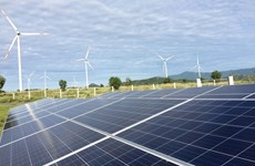 HSBC Vietnam partners with Trungnam group in renewable energy projects
