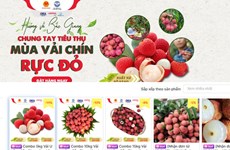 Bac Giang moves to promote sale of farm produce on e-commerce platforms