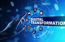 Long An attaches importance to human resources in digital transformation: official