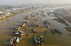 Tourism surges in Tet in Mekong Delta