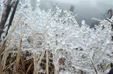 Bitter cold in northern region to linger until February 22
