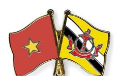 Greetings to Brunei Darussalam on national day