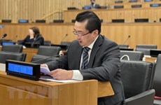 UN Charter important basis for int’l community’s actions: Vietnamese Ambassador