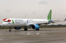 Bamboo Airways launches regular direct flights to Germany  