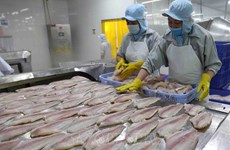 Tra fish export value predicted to top 1.6 billion USD in 2022 
