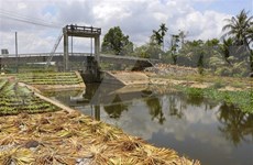 Mekong Delta faces increasing saline intrusion